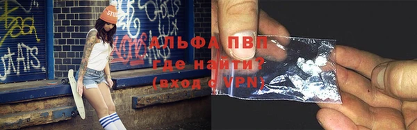 apvp Алзамай
