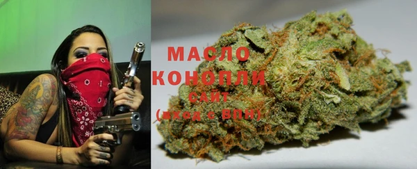apvp Алзамай