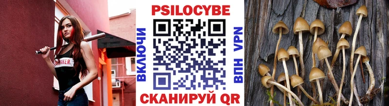 наркота  Черкесск  Псилоцибиновые грибы мухоморы 
